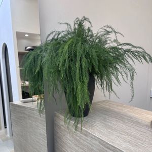 ช่อดอกอัศปารักษาประดิษฐ์ ใบไม้เสมือนจริง ตกแต่งงานแต่งงานในร่ม ตกแต่งบ้านด้วยต้นไม้สีเขียว - Product Image 1