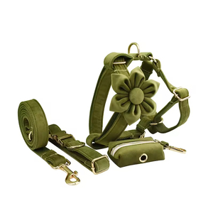 व्यक्तिगत लक्जरी टिकाऊ मखमली कुत्ते का उपयोग करते हुए पट्टा सेट नरम ठोस पैटर्न पालतू कुत्ते का कॉलर आंटाई और पोप बैग डिस्पेंसर - Product Image 2