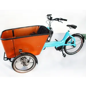 Inner 7 Speeds Cargo Bikes Electric Aluminum Frame 500w Family E Bikes Delivery Trikes With Front Cargo Cabin For Family Use