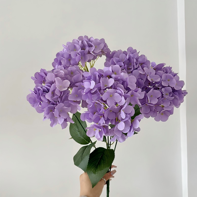Violet foncé