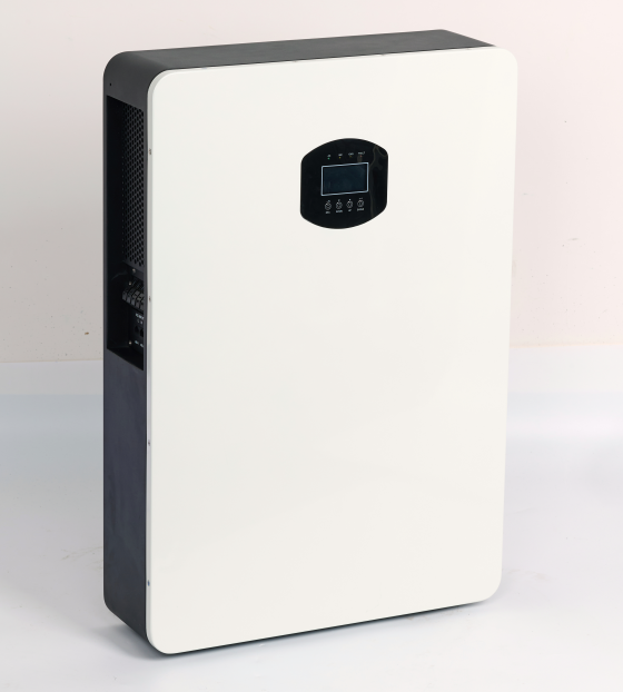 Lifepo4 51.2V 100ah 5kw off Grid Inverter 5kwh Lithium Battery ALL in One