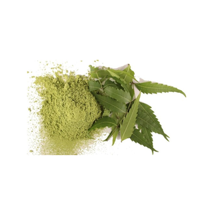 ผงสารสกัดแห้งจากใบสะเดา (Azadirachta Indica) ผงสมุนไพรจากใบไม้ วัตถุดิบจากพืชธรรมชาติสำหรับอาหารเสริม - Product Image 2