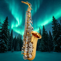 Lacquered Gold E Flat Alto Saxophone Wind Instrument for Adult Beginner Professional Use