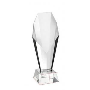 Trophy H 200mm Wooden Base 80x80x45 UV <b>Printing</b> Plastic and Iron <b>Material</b> for Trade Shows and Welcoming Guests - Product Image 2