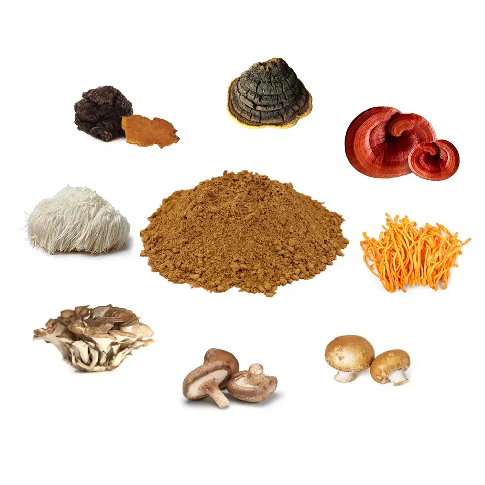 मशरूम निकालने पाउडर मिश्रण लायंस अयाल, Cordyceps,Reishi,Chaga, तुर्की पूंछ, maitake मशरूम कॉफी पाउडर Oem कार्बनिक 6 1 में