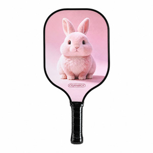 Ensemble de raquettes de pickleball en fibre de verre pour usage extérieur, résistant aux intempéries, prêt à l'emploi sur le terrain, avec balles et sac inclus – Pack économique - Product Image 1
