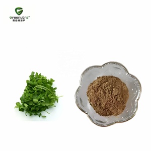 Extracto de <span class=keywords><strong>Nasturtium</strong></span> <span class=keywords><strong>Officinale</strong></span> (Cleomora) 10:1, Polvo Verde Natural Concentrado para Uso como Suplemento Dietético - Product Image 1