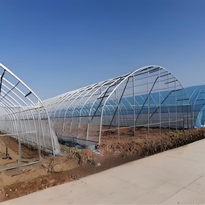 Vente en gros à bas prix Petit kit de serre pour légumes et fruits Matériau PE Arche à travée unique Film plastique Tunnel Serre - Product Image 3