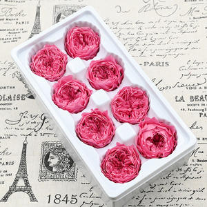Grade-A 4-5cm Austin Roses Préservées 8 Pcs/Box Eternal <span class=keywords><strong>Forever</strong></span> Fleurs conservées pour Noël Saint Valentin Nouvel An chinois - Product Image 4