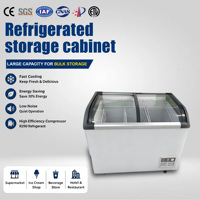 Congélateur horizontal à double porte vitrée pour la présentation de glaces, best-seller pour les commerces de détail