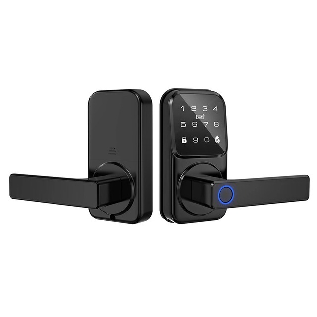 Luxury Zinc Alloy Smart Lock with WiFi & Cloud Support Biometric Fingerprint Deadbolt Emergency USB Charge for Residential Villa