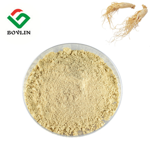 파낙스 인삼 추출물 20% ~ 80% 진세노사이드 분말 - Product Image 2