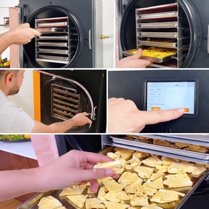 Deshidratador Doméstico de 6 kg, 110V/220V, Estándar Estadounidense, 13 lb, Perfecto para Frutas y Dulces, Fácil de Usar, Diseño Compacto, 1 Año de Garantía - Product Image 3