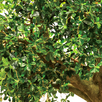 Grand arbre artificiel ficus benjamina personnalisé en fibre de verre, décoration d'intérieur et d'extérieur, paysagiste, haute simulation, écologique, UV