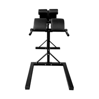 Machine de musculation pour les fessiers et les ischio-jambiers, extension des hanches, extension dorsale, abdominaux