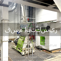 Usine de production d'aliments pour animaux RICHI en Arabie Saoudite - Machine à granulés d'aliments pour animaux certifiée CE/ATEX/ISO pour aliments pour volailles
