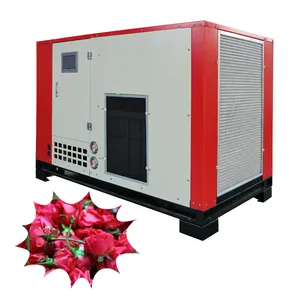 Industrial Air Heated Vegetable Dryer Box Dehydration Machine Ginger Drying Machine Good Price