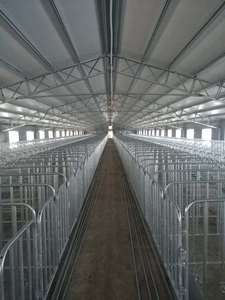 Proyecto de granja de cerdos porcinos galvanizado en caliente - Product Image 5