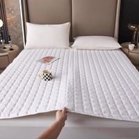 Housse de protection de matelas imperméable matelassée Drap-housse Anti-acariens Housse de matelas réglable antibactérienne Double King Queen Bed
