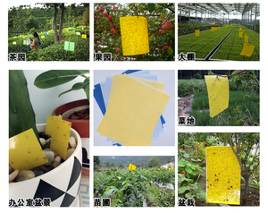 الزراعة الفاكهة الصفراء الزرقاء لزجة فخ الذباب والبعوض الحشرات الغراء القاتل دولة من بين الفن نوع هلام - Product Image 6