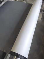 Membrane d'étanchéité autocollante élastique EPDM pour toiture et murs