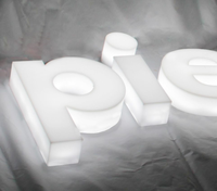 Enseigne lumineuse 3D personnalisée en lettres canal LED, étanche pour extérieur, en acrylique, pour logo d'entreprise, enseigne murale