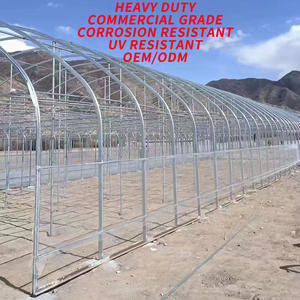 هيكل بيت زجاجي تجاري متين بمقاسات مخصصة، نفق للفراولة، بيوت زجاجية بلاستيكية مع معدات كاملة - Product Image 5