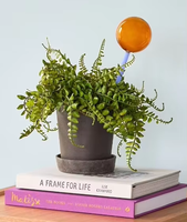 Dispositif d'arrosage personnalisé, dispositif d'arrosage des plantes, dispositif d'arrosage automatique par goutte-à-goutte, irrigation des fleurs et des plantes