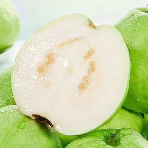 グアバパウダーエッセンス-トロピカル飲料/キャンディーフレーバー-甘いグアバフレグランス-豊富なフルーツアロマ - Product Image 6