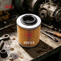 Filtre à carburant moteur de haute qualité en gros 420956123 956123 pour équipement marin