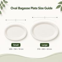 Assiette ovale jetable en bagasse de canne à sucre, résistante à la chaleur, compostable et biodégradable, pour la restauration de plats chauds