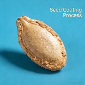 ปุ๋ยชีวภาพออร์แกนิกควบคุมไนมาโทด กรดฮิวมิก ปูร์เพอโรซิลลิอุม ลิลาซินัม สำหรับปกป้องราก เพิ่มผลผลิตพืช ชนิดผง - Product Image 3