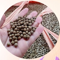 CHAOKUN Matériau granulaire en boules d'argile bentonite standard pour l'étanchéité, le colmatage et le remblaiement de puits