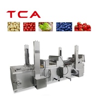 Gemengd Fruit En Groenten Invriezen Lijn Volledige Automatische Mulit Gebruik Bevroren Fruit En Groenten Making Machine Productielijn
