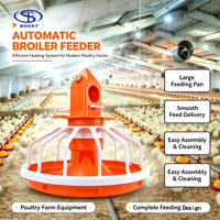 Système d'alimentation et d'abreuvement automatique pour volailles, ensemble complet, ligne d'alimentation humide et sèche pour poulets de chair, équipement complet pour élevage de poulets