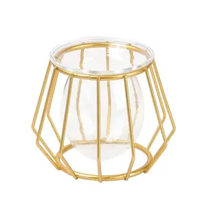 Скандинавская железная декоративная ваза из золотого гидропонного стекла, Настольная Геометрическая ваза для украшения, металлическая ваза