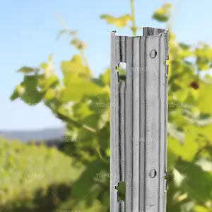 Factory Direct Sales Steel 2.0mm Hot Dipped Galvanized Metal Vineyard Post Vineyard Trellis Grape Poles