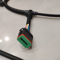 Groupe de câblage du module de commande ECM CH11985 pour pièces d'équipement Perkins 2306 2506 2806 Faisceau de câblage du moteur