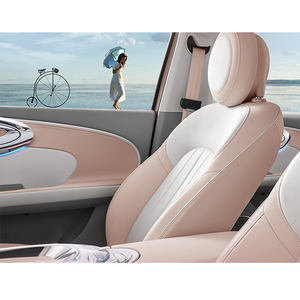 Ora Ballet Cat, véhicule électrique le moins cher, 100% électrique, mini <span class=keywords><strong>voiture</strong></span> chinoise, <span class=keywords><strong>voiture</strong></span> électrique, voitures électriques - Product Image 5