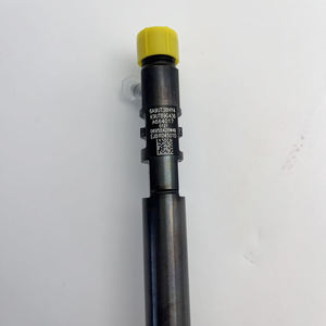 Einspritz ventil für Del-phi-und SSANG YONG-Dieselmotor teile EJBR04501D - Product Image 4