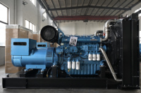 Générateur diesel d'urgence Weichai 400 kW 500 kVA avec démarrage automatique et ATS, refroidissement par eau