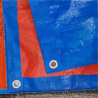 Bâche extérieure robuste en PEHD imperméable avec motif imprimé pour camions et piscines, marque GPW, procédé de tissage