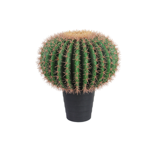 Cactus Artificiali, Piante di Cactus Finte in Vaso per Decorazione di Casa, Negozio e Ufficio - Product Image 1
