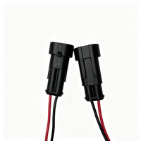 Faisceau de câblage personnalisé, connecteur électrique étanche à 2 broches, prise de phare H8 H9 H11, câble automobile, fiche en cuivre pour voiture à LED