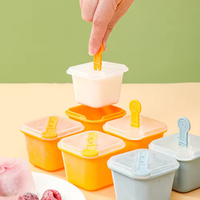 Sorbetière aux fruits faite maison moules à sucettes glacées personnalisés boîte à glace en treillis à sorbet bricolage avec couvercle