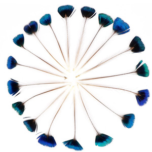 Plumes <span class=keywords><strong>de</strong></span> paon <span class=keywords><strong>de</strong></span> haute qualité 5-7 cm, belles plumes <span class=keywords><strong>de</strong></span> paon naturelles pour la fabrication <span class=keywords><strong>de</strong></span> bijoux, décorations et accessoires décoratifs - Product Image 3
