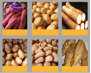 آلة صنع نشا التابيوكا وخط إنتاج نشا الكسافا بأقل سعر - Product Image 2