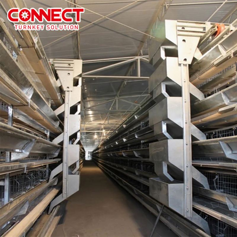 Large Scale Fully Automated Multi Tiers Egg Laying Poultry Farming Equipment Battery Layer Chicken Feeding Cages System for Fowl