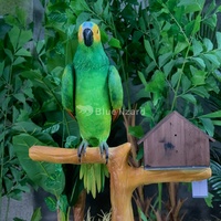 Loro Animatronic de alta calidad para interiores, modelos de loro verde de Amazon con cabeza impresa en 3D y garras a la venta