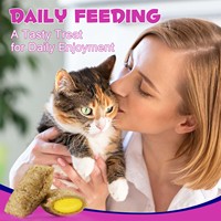 Oimmal Cat 15-en-1 Multivitamines à mâcher pour soutenir la santé immunitaire, digestive, cardiaque, articulaire, cutanée et du pelage avec de la taurine et des acides gras oméga